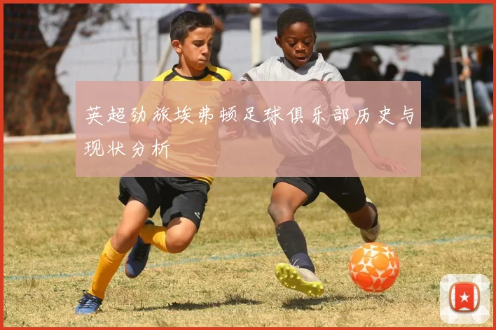 英超劲旅埃弗顿足球俱乐部历史与现状分析